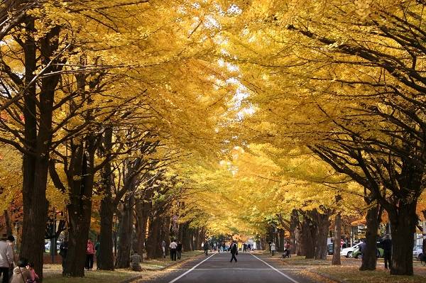 日本留学のすすめ