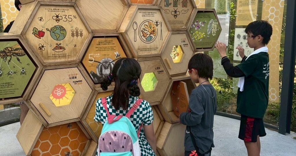 日本の施設の六角形展示を体験する子どもたち—交流学習の様子(交換留学プログラム)